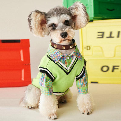 Best 11 Dog Fashions: Stylish Outfits to Elevate Your Pup's Wardrobe - Dog Hugs Cat