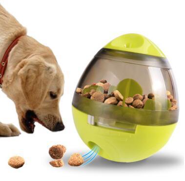 Dog Dish Guide: Explore Top Picks and Expert Advice on Canine Bowls - Dog Hugs Cat