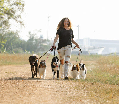 How Many Dogs Are in the World? Exploring the World's Dog Population - Dog Hugs Cat