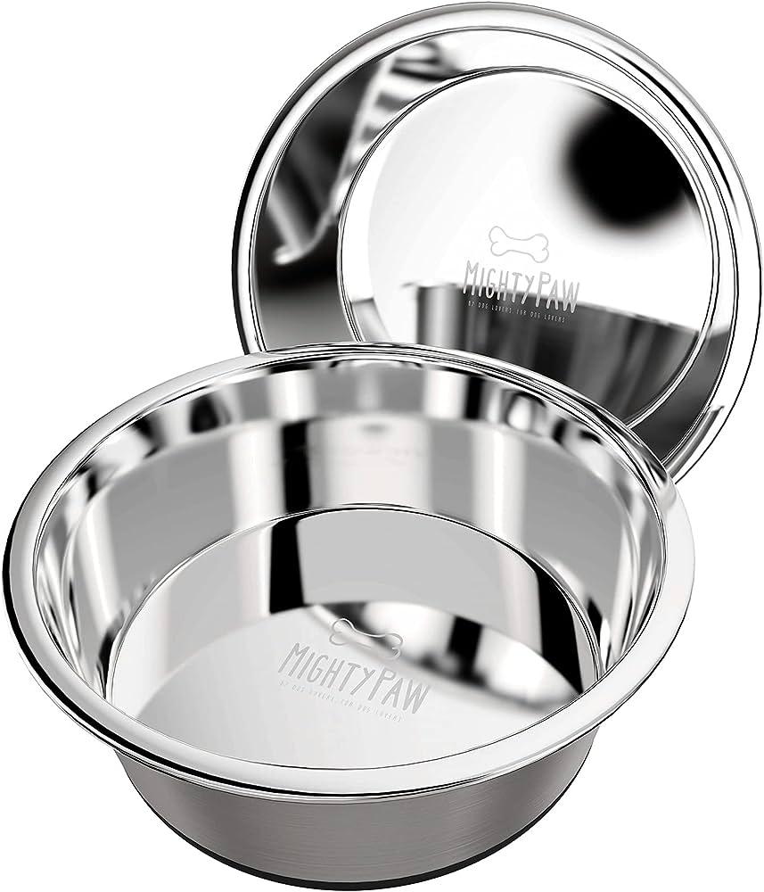 Metal Dog Bowls: The Ultimate Guide to Durability, Hygiene, and Health - Dog Hugs Cat