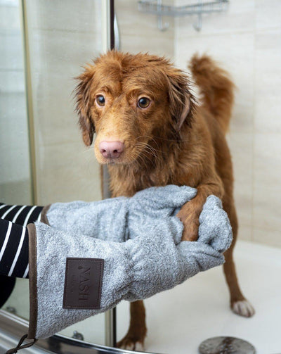 Pet-Friendly DIY Home Cleaning Products: Keeping Your Home Clean and Safe for Your Furry Friends - Dog Hugs Cat