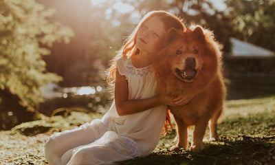 Tibetan Mastiff: Majestic Guardian Dogs of the Himalayas - Dog Hugs Cat