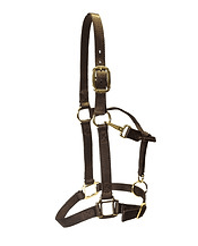 Premium USA-Made Nylon Halter with Brass-Plated Hardware