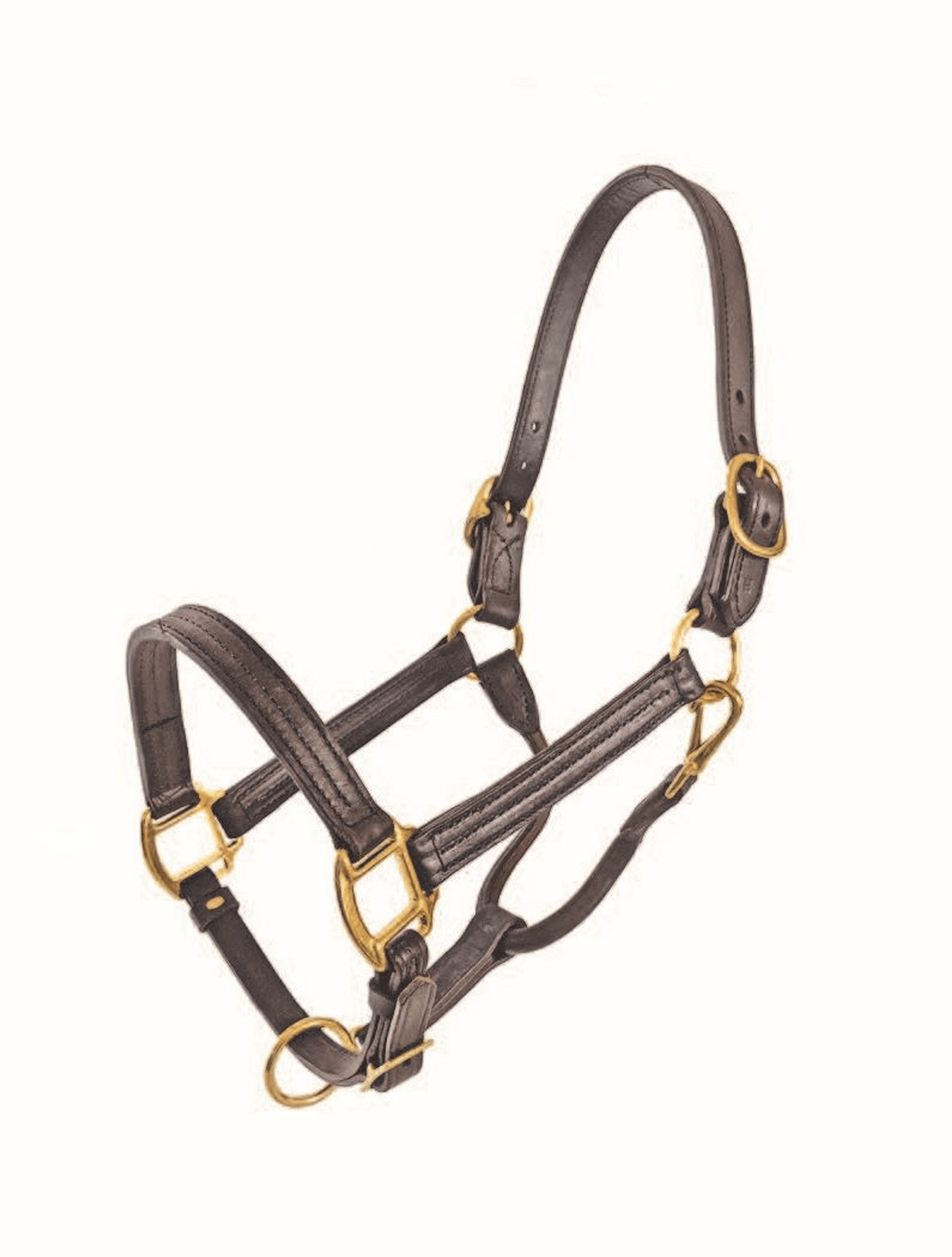 1" Adjustable Track Halter with Solid Brass Hardware