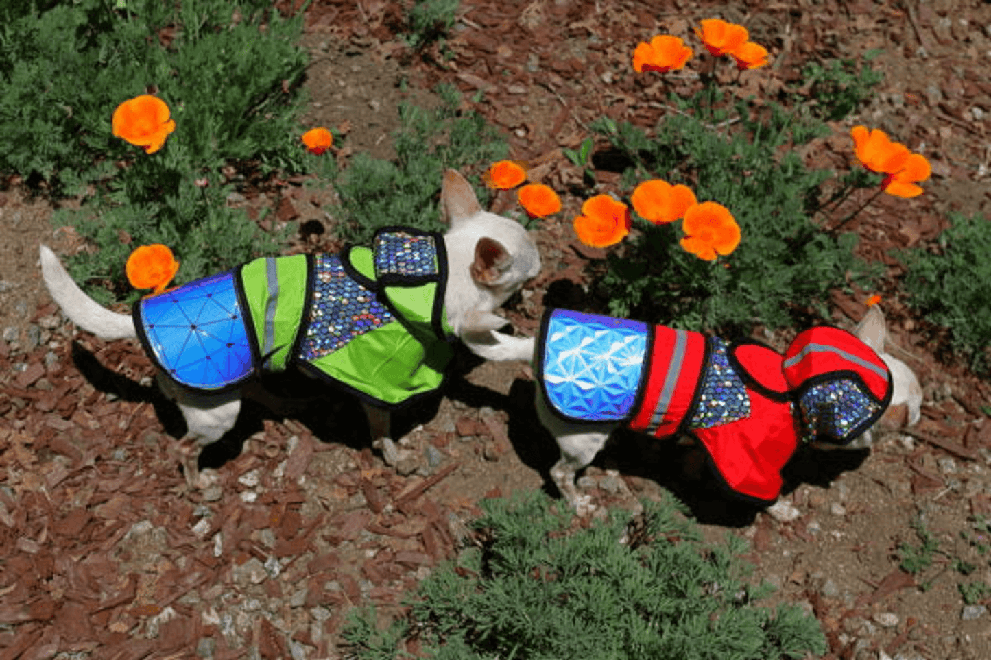 Reflective Holographic Safety Jacket for Pets