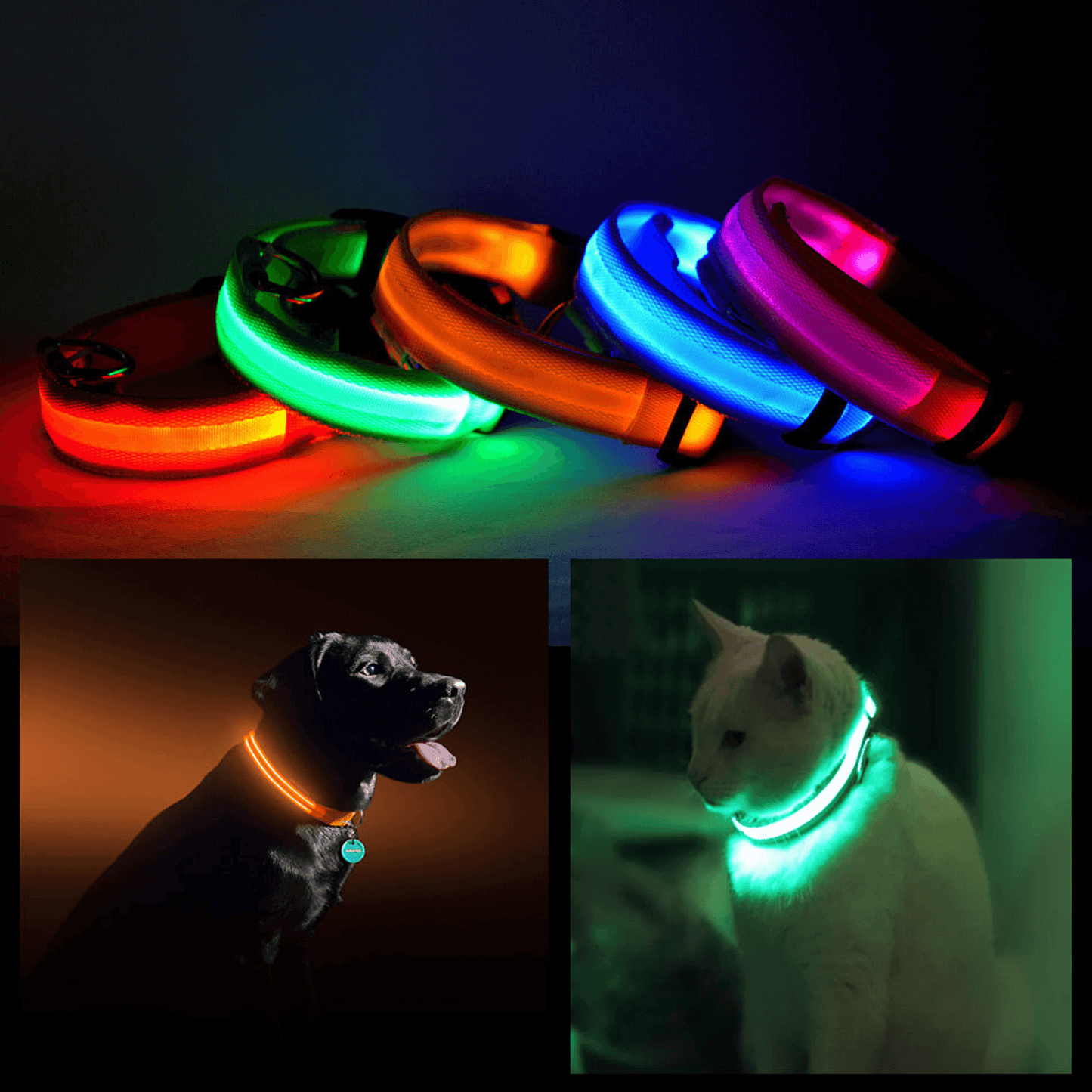 LED Safety Halo Collar for Pets