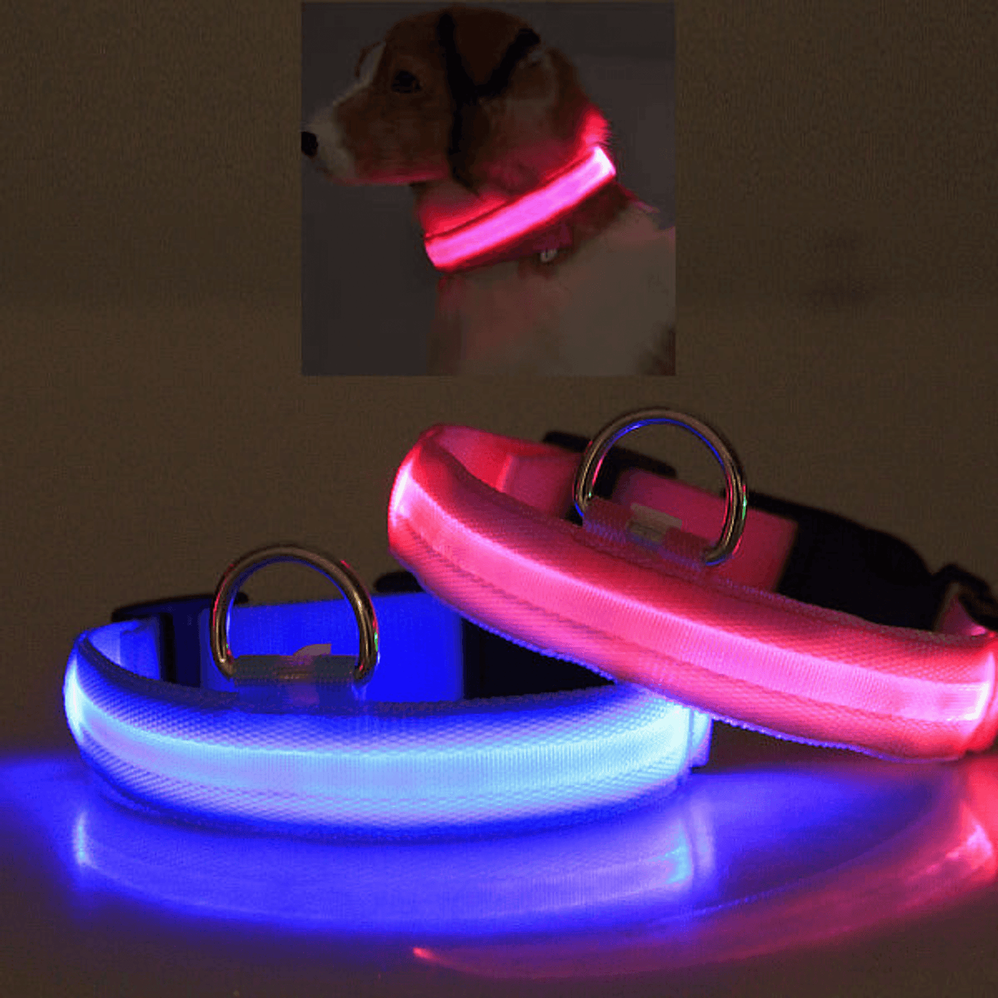 LED Safety Halo Collar for Pets