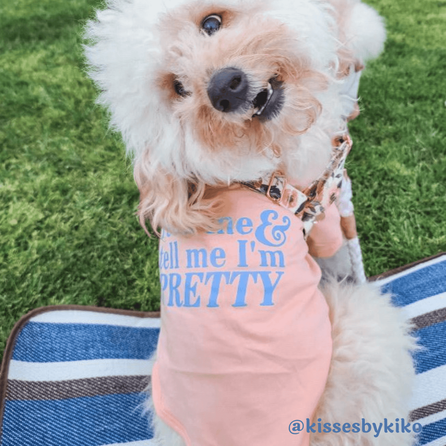 Essential Cotton T-Shirt for Dogs: Feed Me & Tell Me I'm Pretty