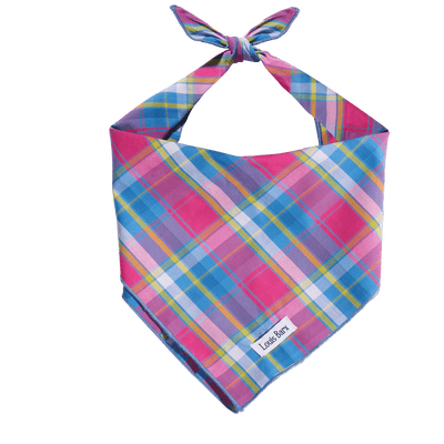 Rainbow Plaid Cotton Dog Bandana