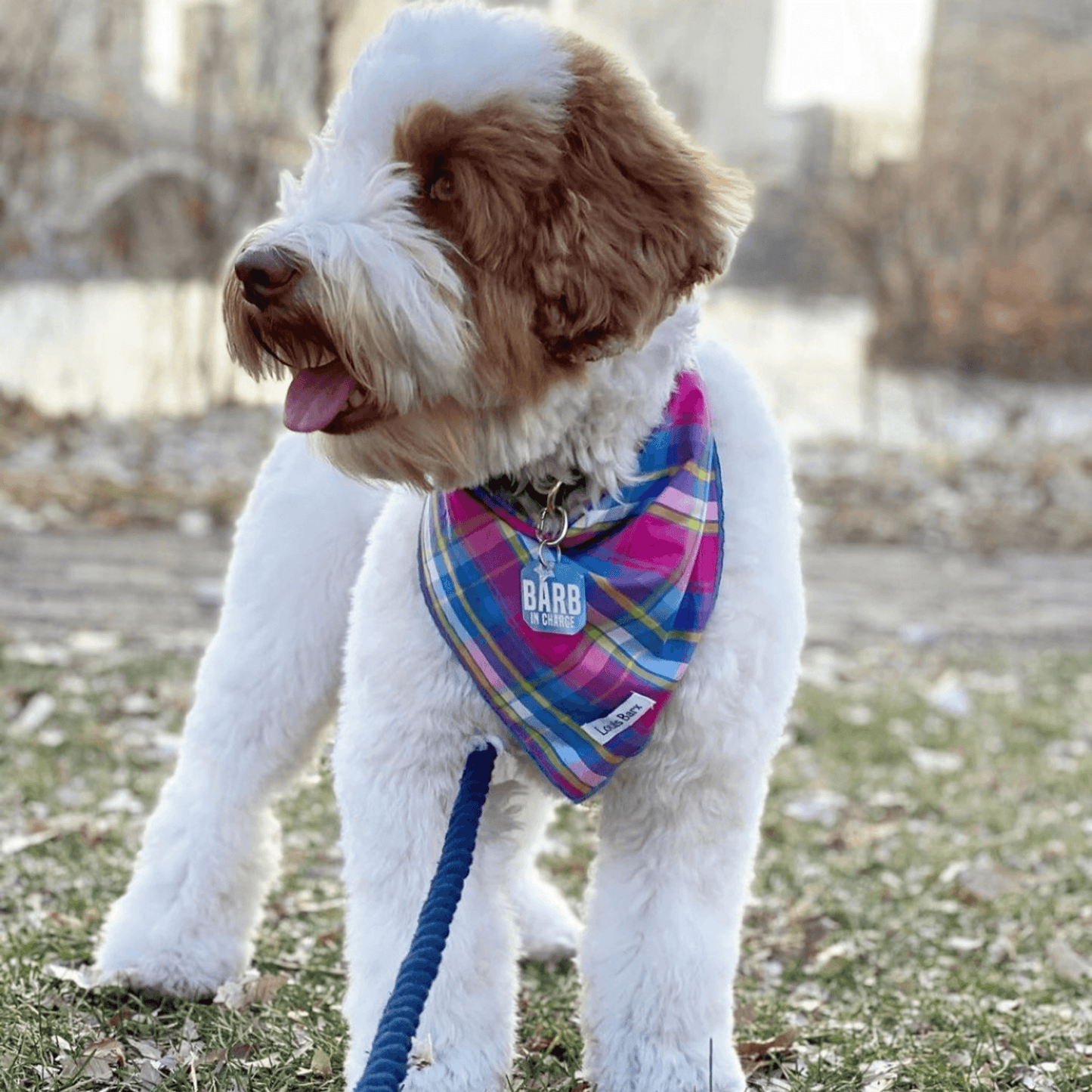 Rainbow Plaid Cotton Dog Bandana