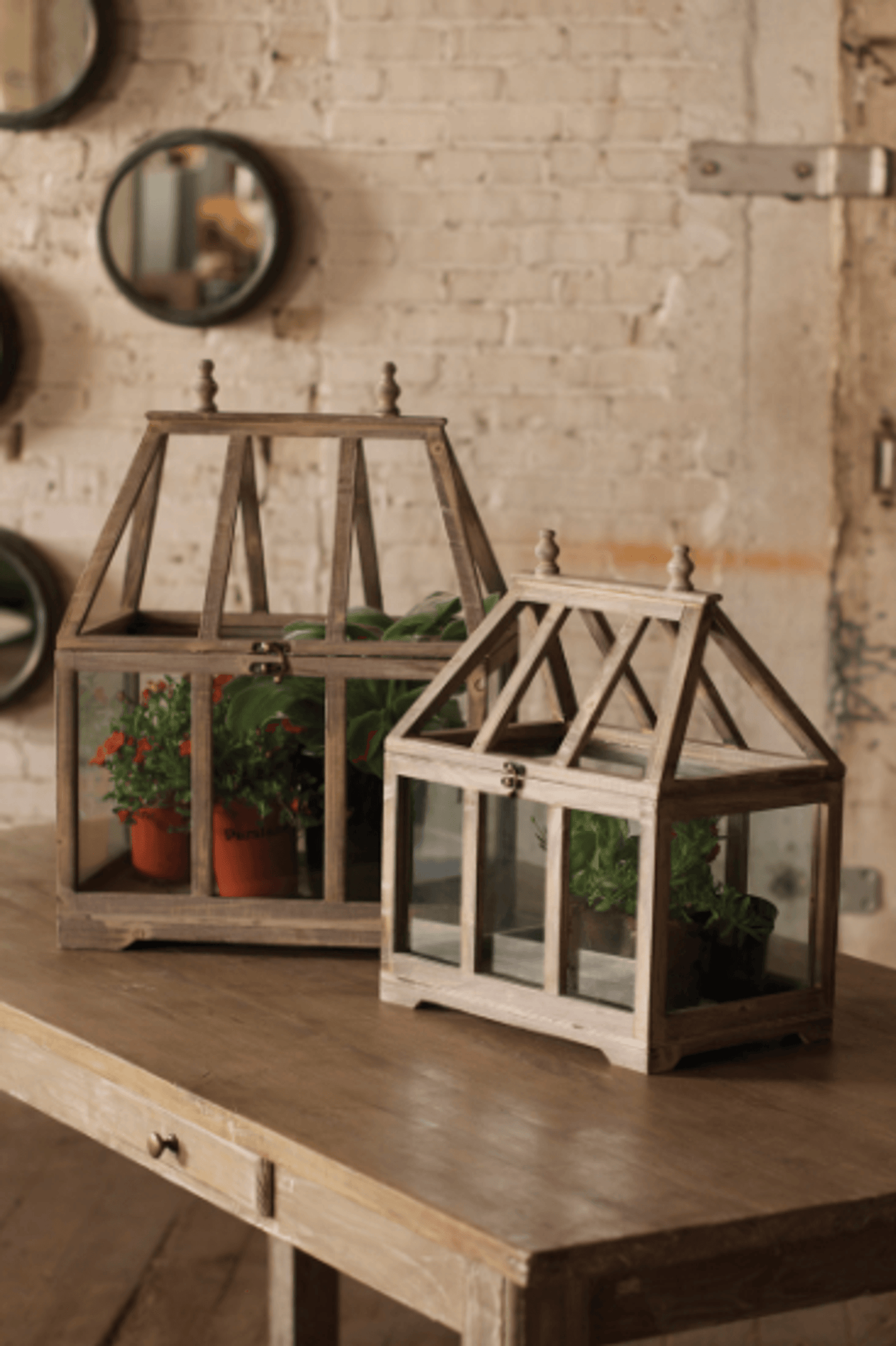 Elegant Set Of Two Open-Top Glass And Wood Terrariums