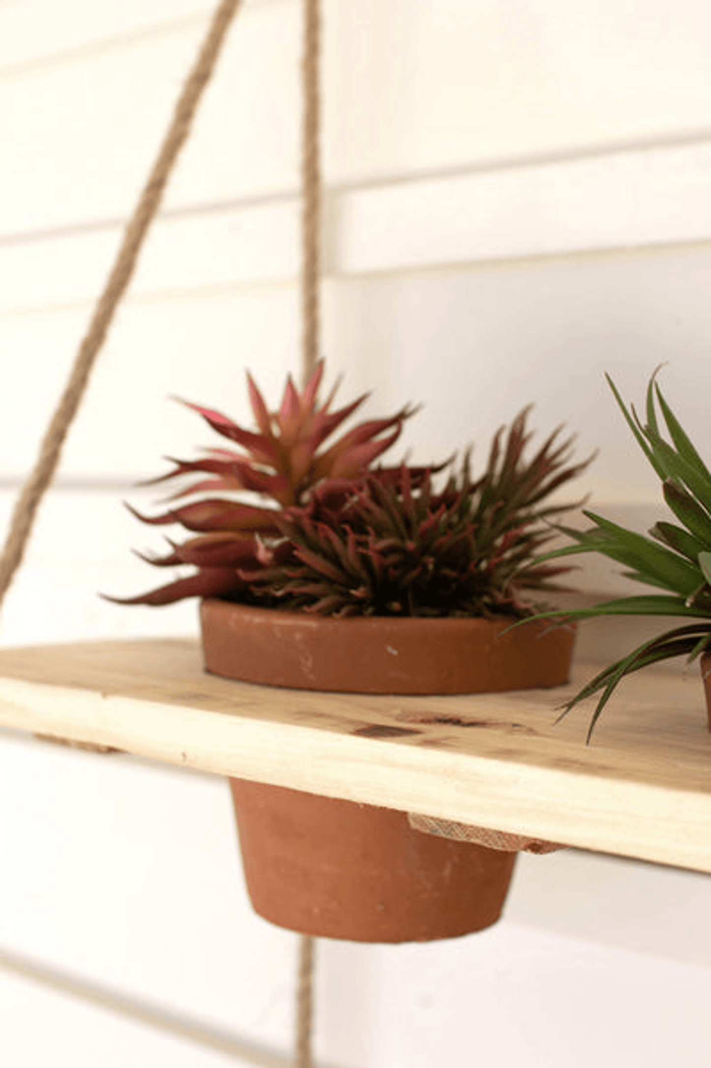 Two-Tiered Wooden Hanging Shelf With Clay Planters