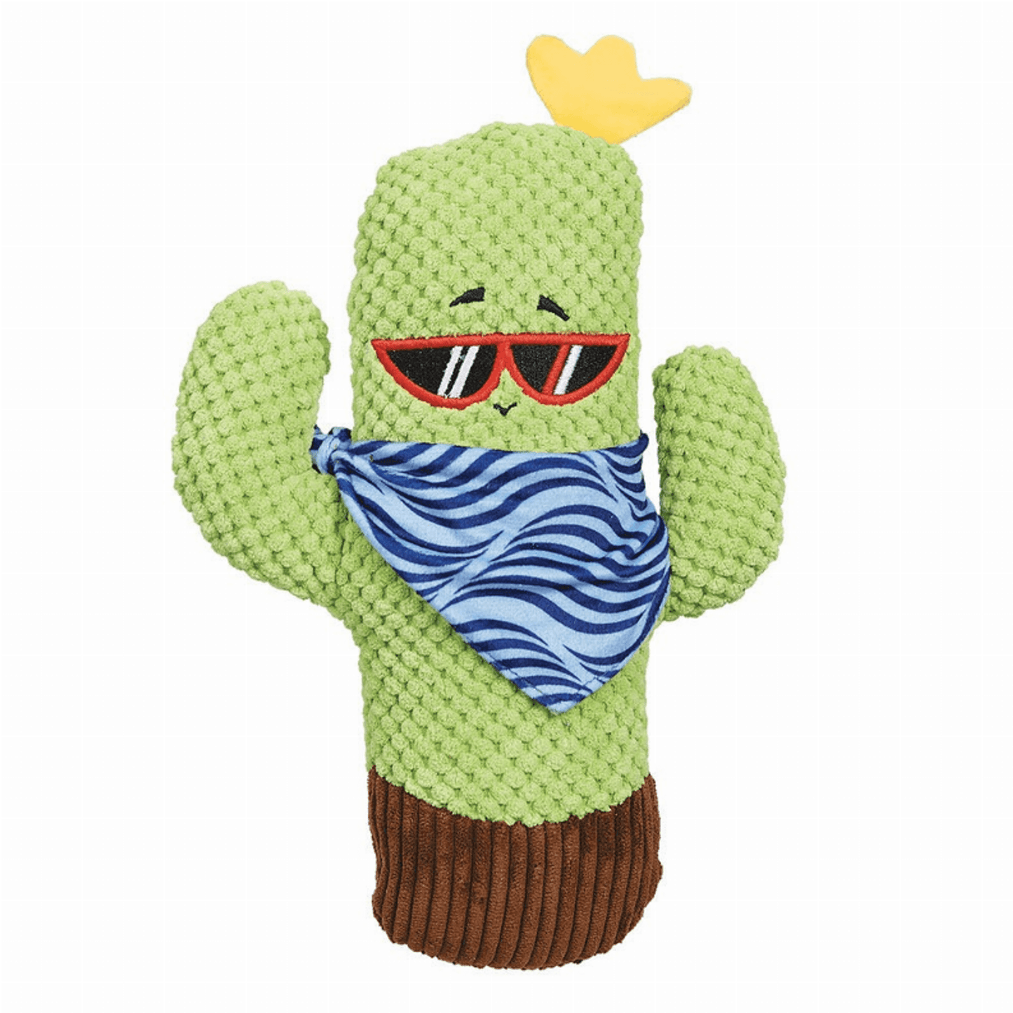 Zanies Stylish Cactus with Sunglasses