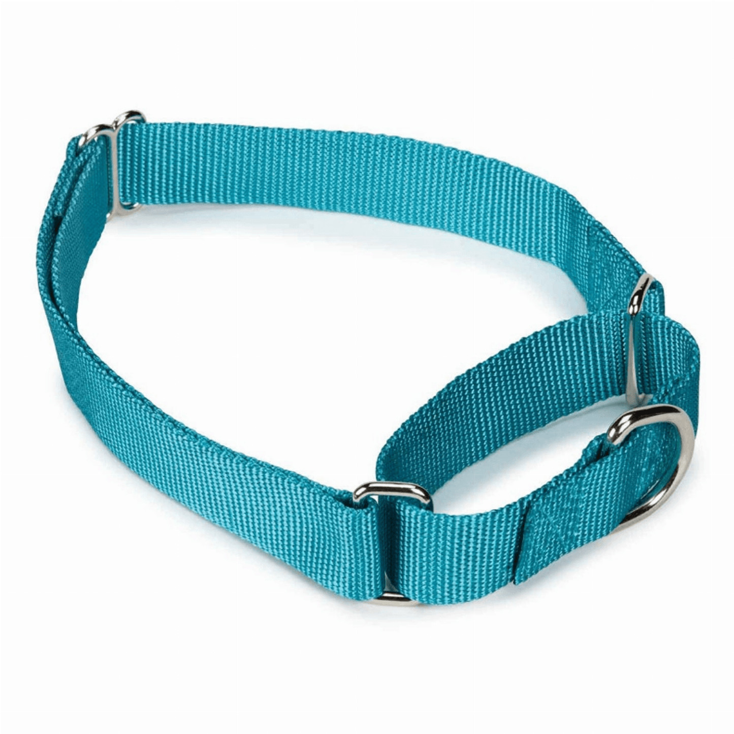 GG Nylon Martingale Collar for Dogs - 10 to 16 Inch - Black