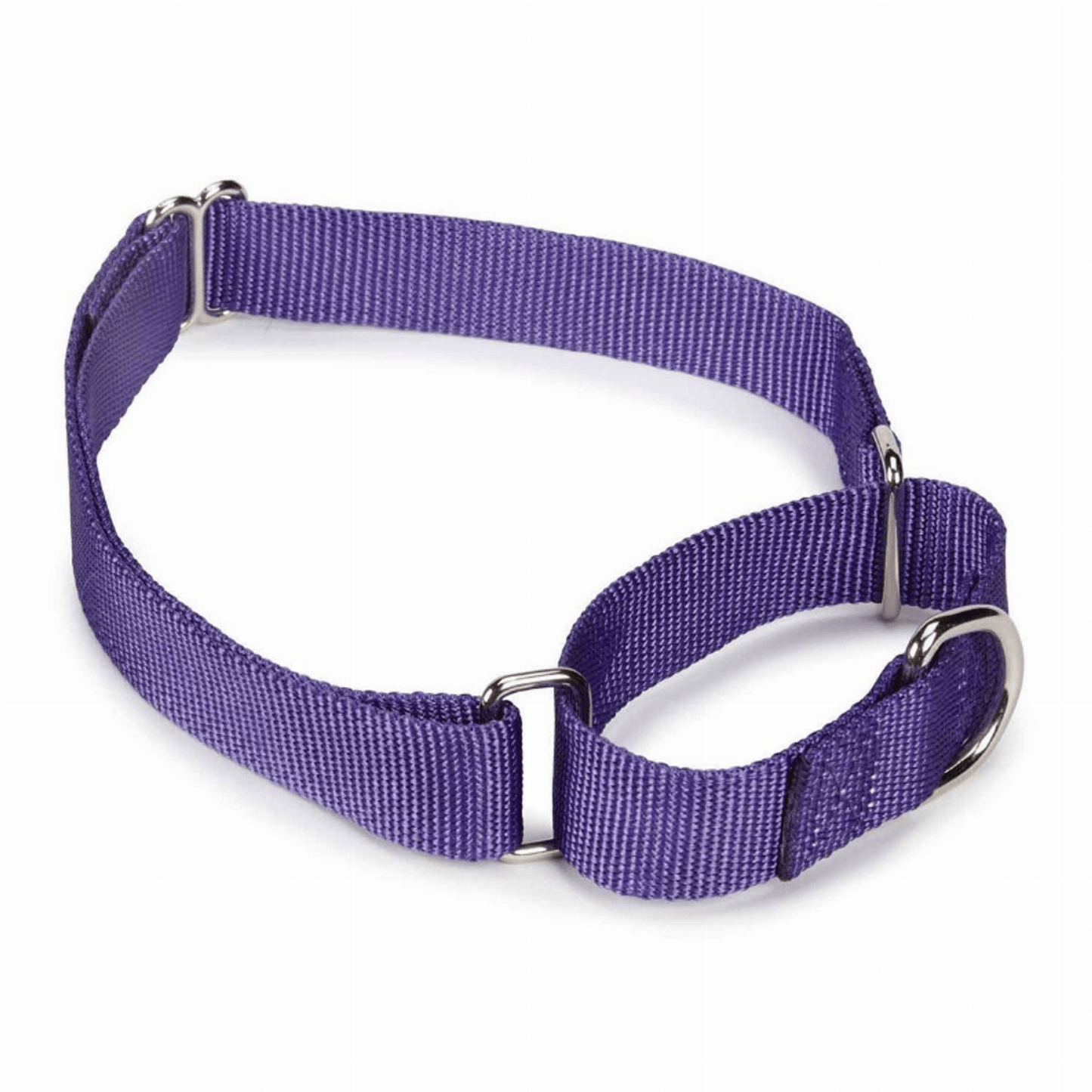 GG Nylon Martingale Collar for Dogs - 10 to 16 Inch - Black