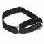 GG Nylon Martingale Collar for Dogs - 10 to 16 Inch - Black