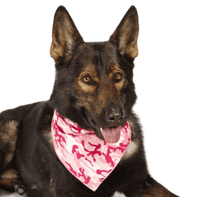 Pink Camo Bandana