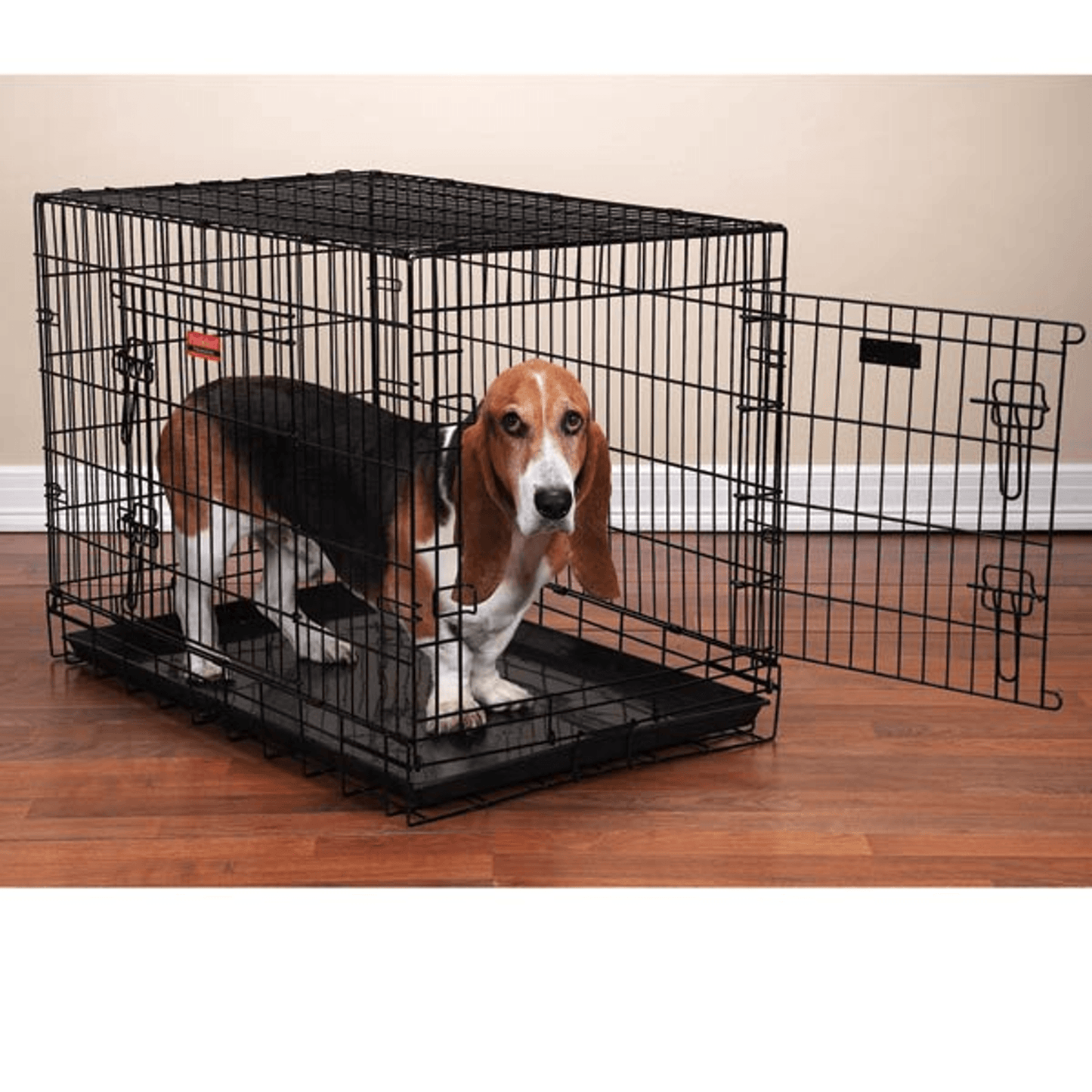 Everlast Medium/Large Dual-Door Pet Crate