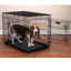 Everlast Medium/Large Dual-Door Pet Crate