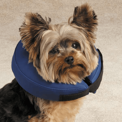 TH Large Blue Inflatable Collar