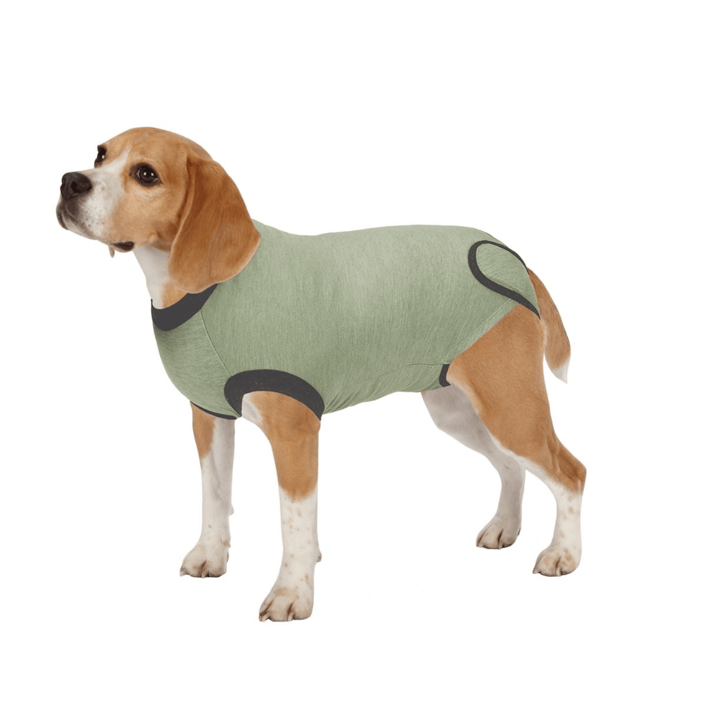 TPH Recovery Suit for Pets - XXS, Surgical Healing and Comfort Solution