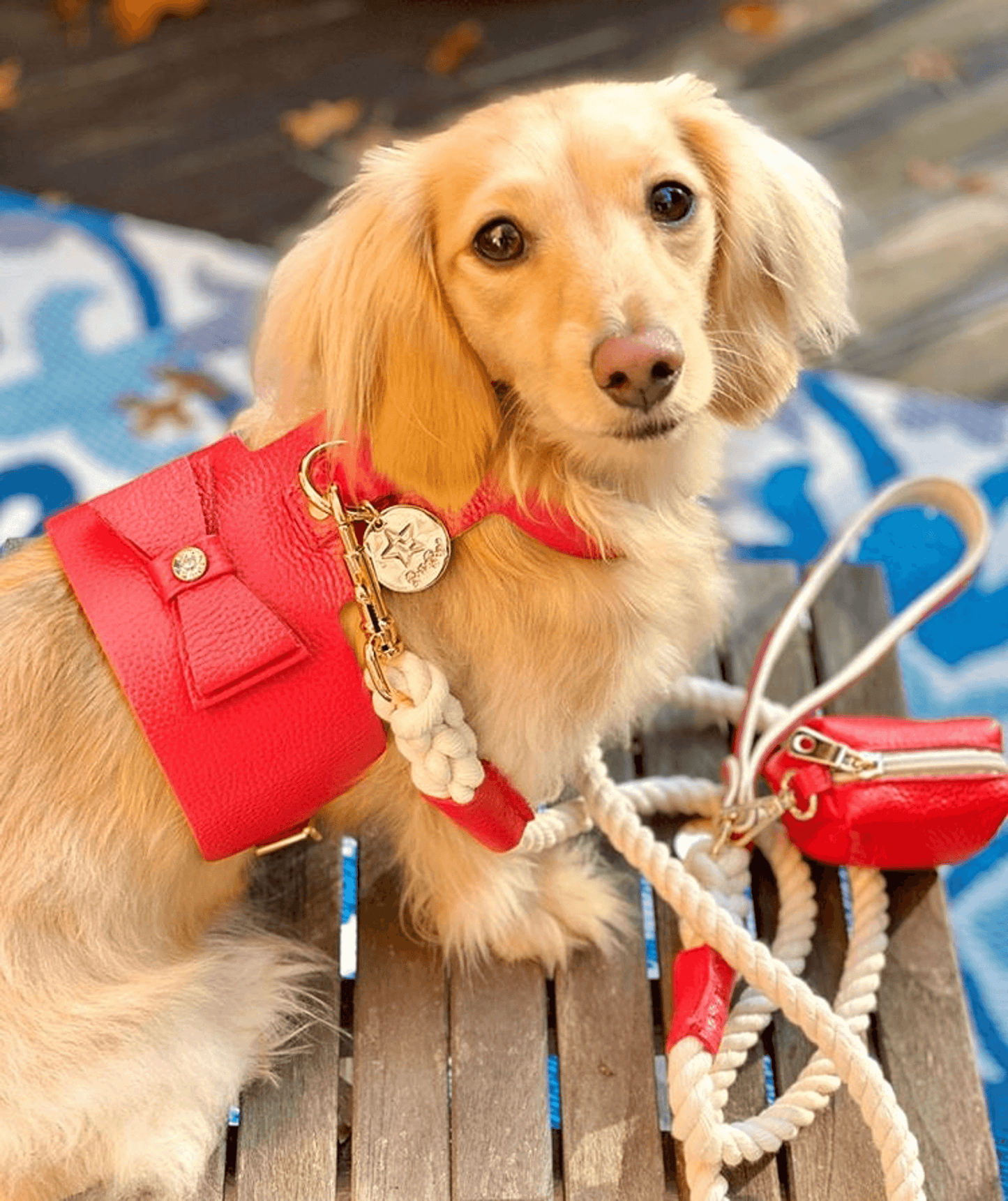 Elegantly Crafted Full-Grain Leather Dog Harness