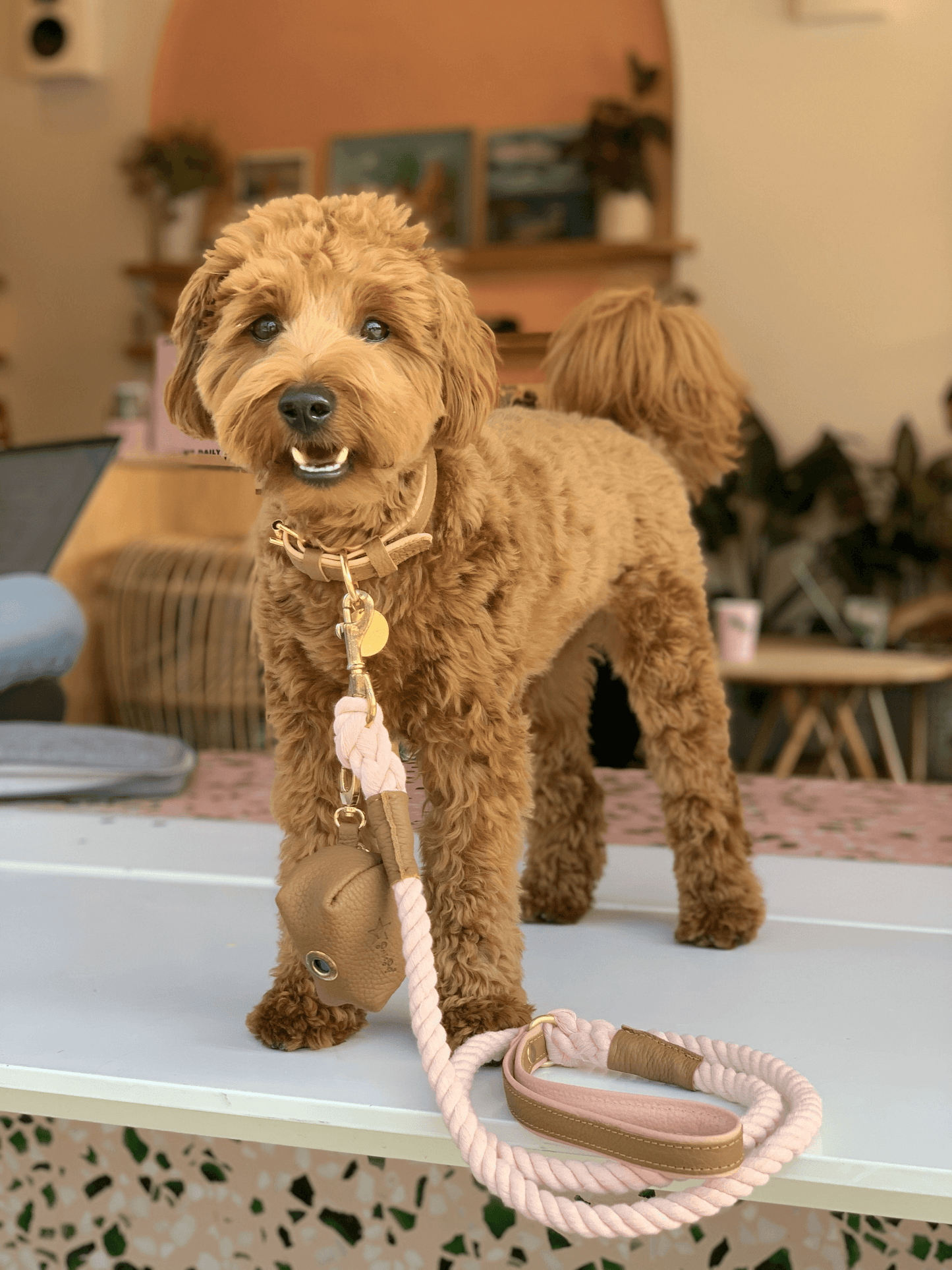 Luxury Handmade Two-Tone Leather Dog Collar in Rosewood and Light Pink