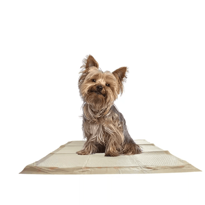 WizSmart Essentials Eco-Friendly Dog Training Pads with Adaptive Absorption Technology