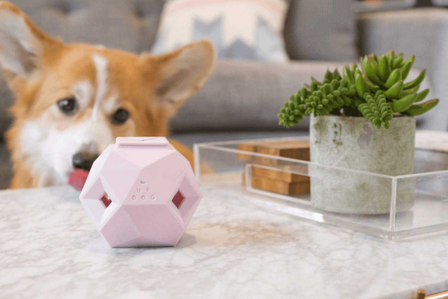 Odin Modern Interactive Treat Dispensing Puzzle for Dogs