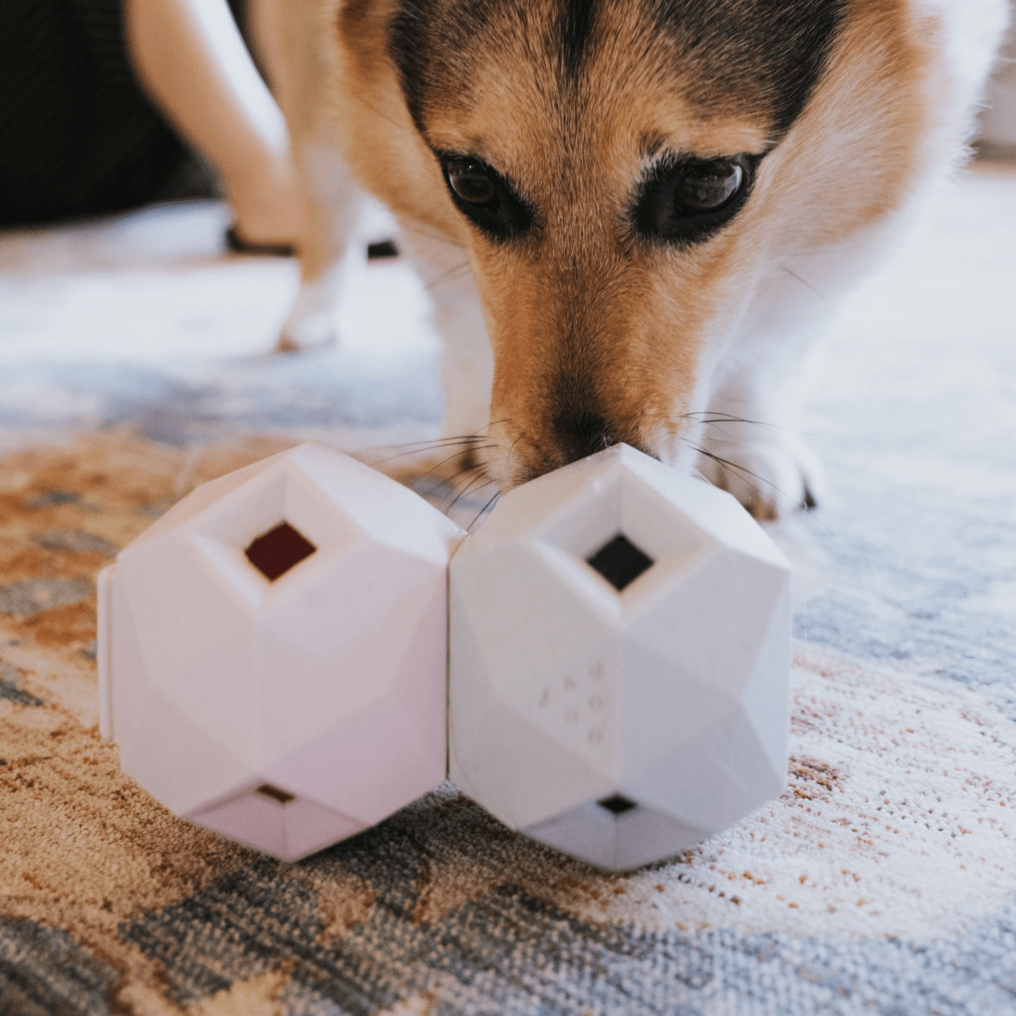 Odin Modern Interactive Treat Dispensing Puzzle for Dogs