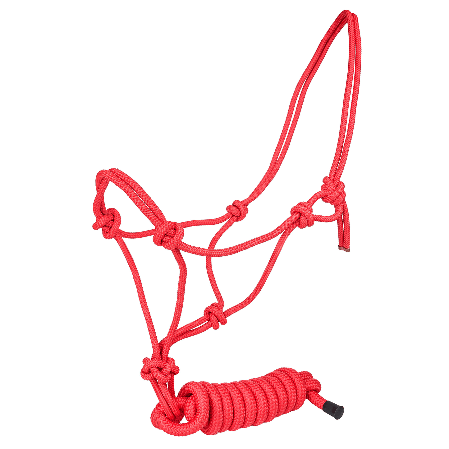 Tabelo Classic Cowboy Rope Halter with Lead