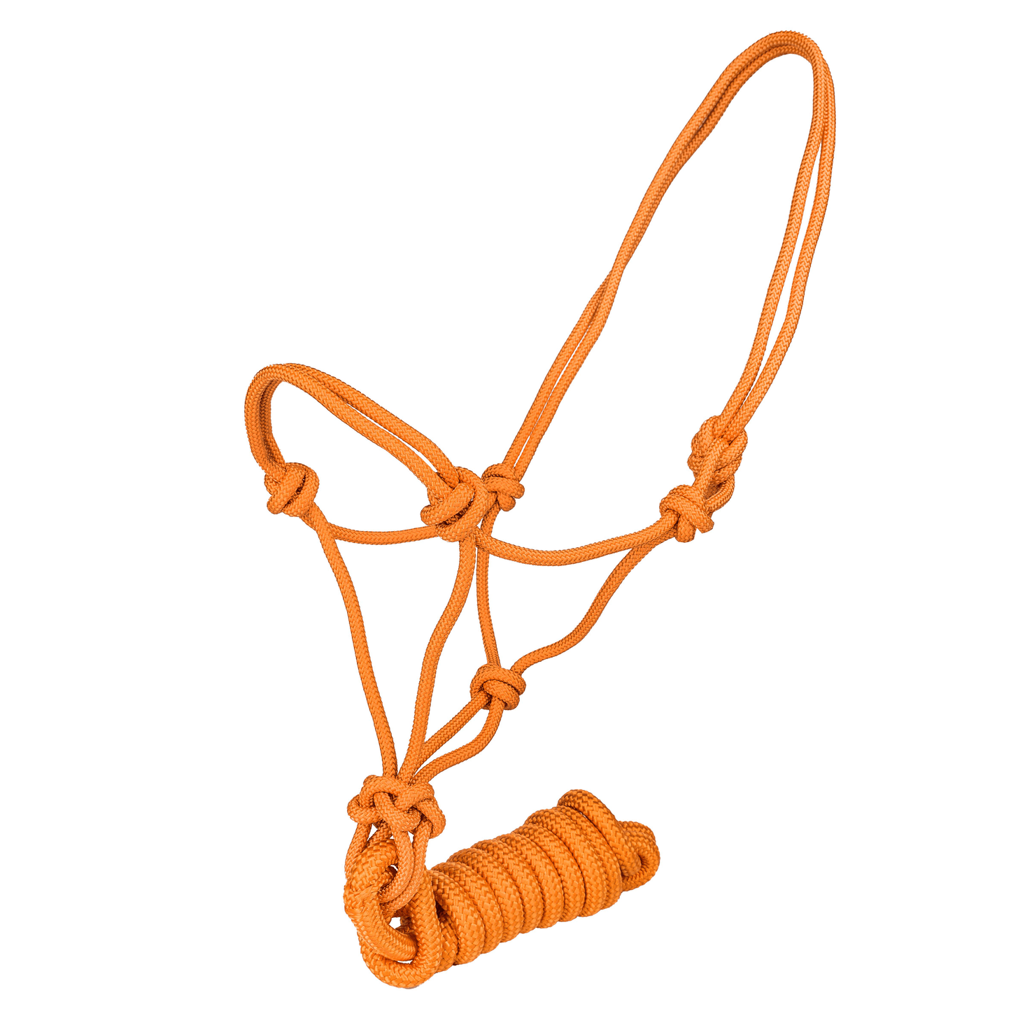 Tabelo Classic Cowboy Rope Halter with Lead