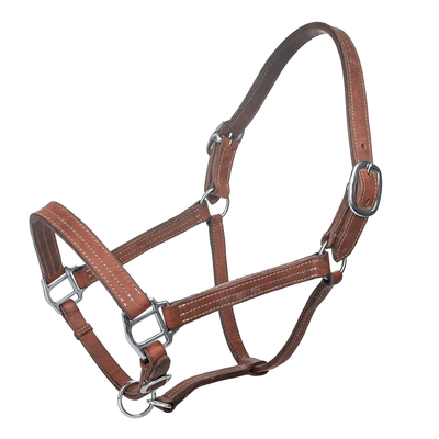 Tabelo Premium Adjustable Leather Halter with Nickel Plated Hardware