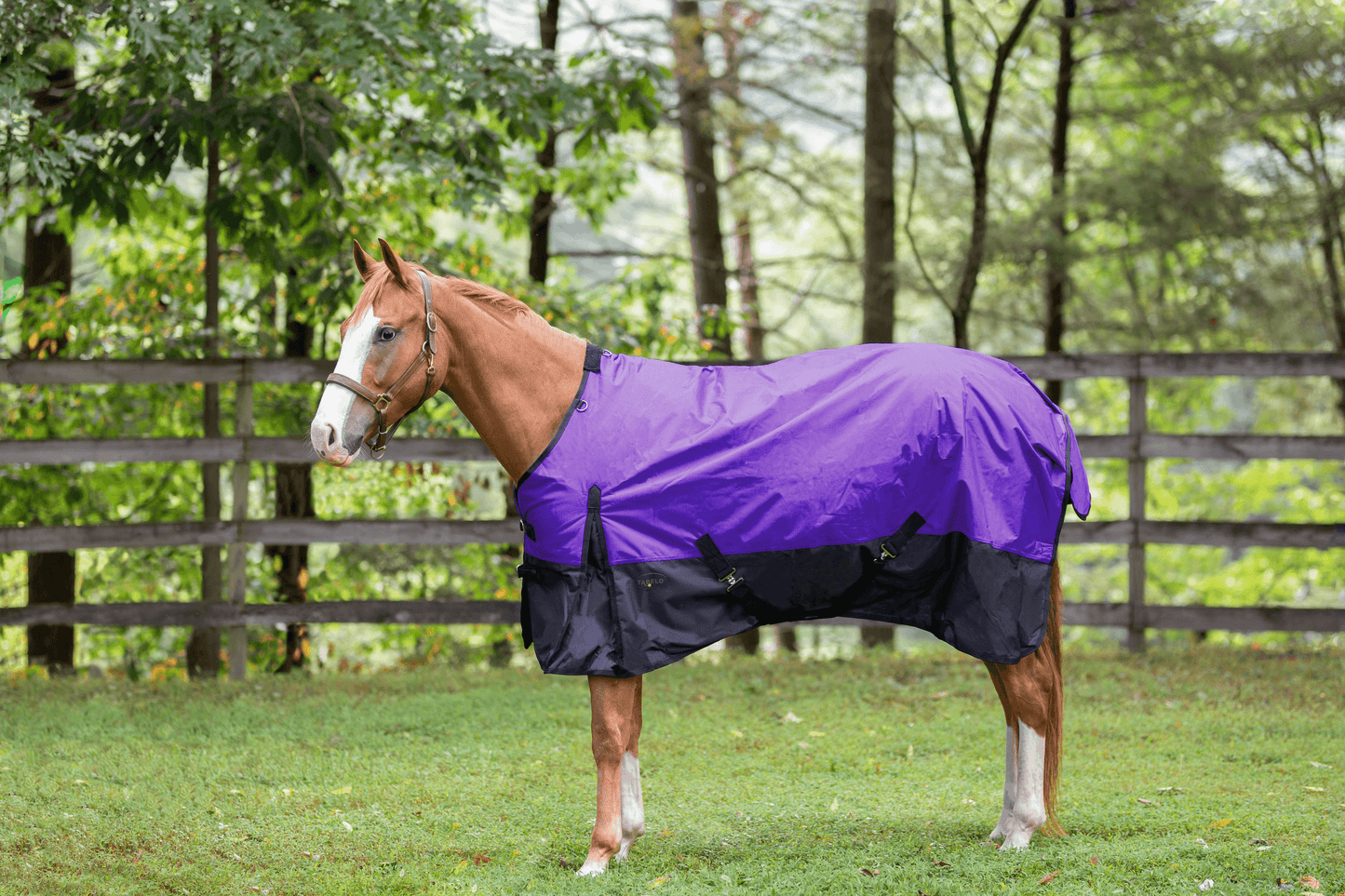 Tabelo Waterproof 1200D Turnout Blanket with Fleece Wither Protection