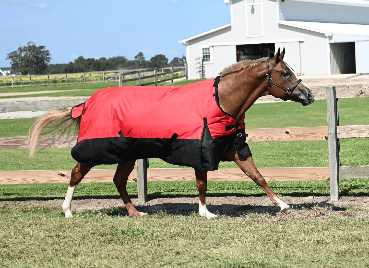 Tabelo Waterproof 1200D Turnout Blanket with Fleece Wither Protection