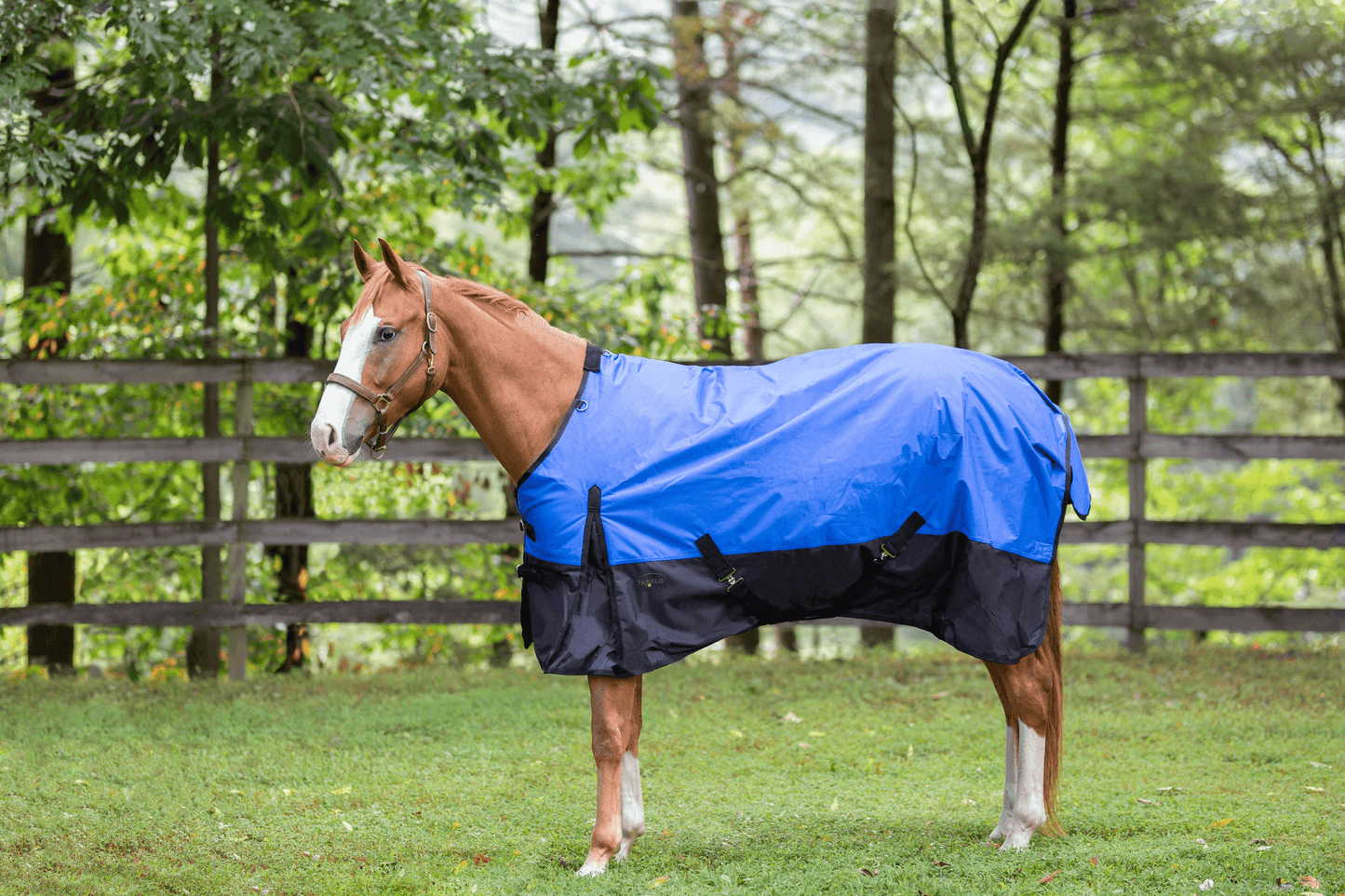 Tabelo Waterproof 600D Turnout Blanket with 250g Polyfill