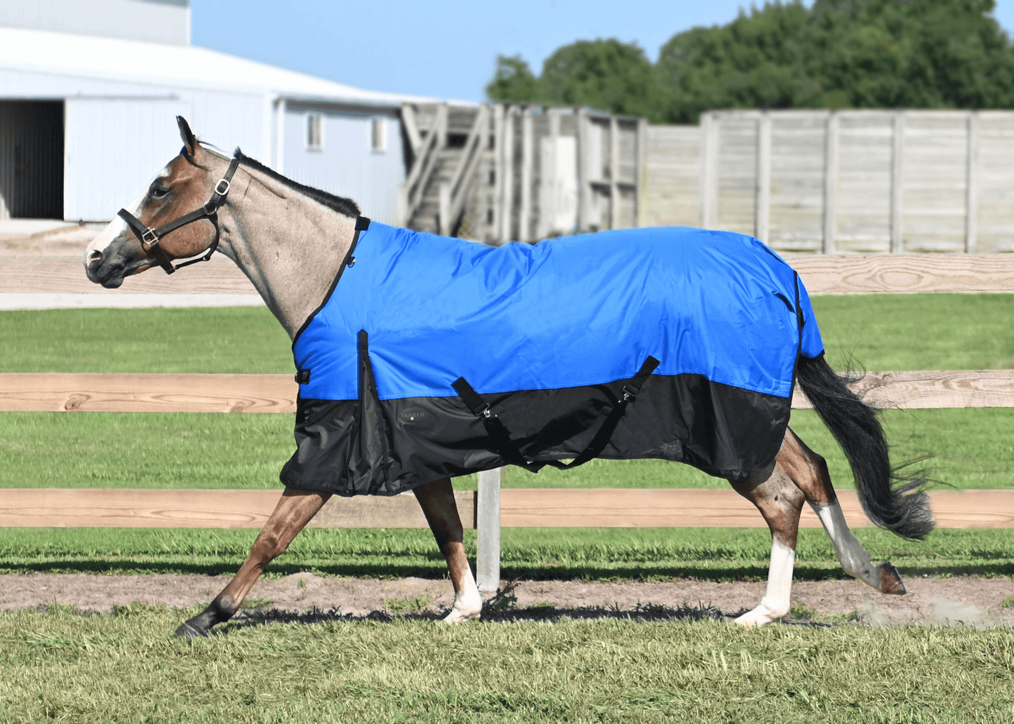 Tabelo Waterproof 600D Turnout Blanket with 250g Polyfill