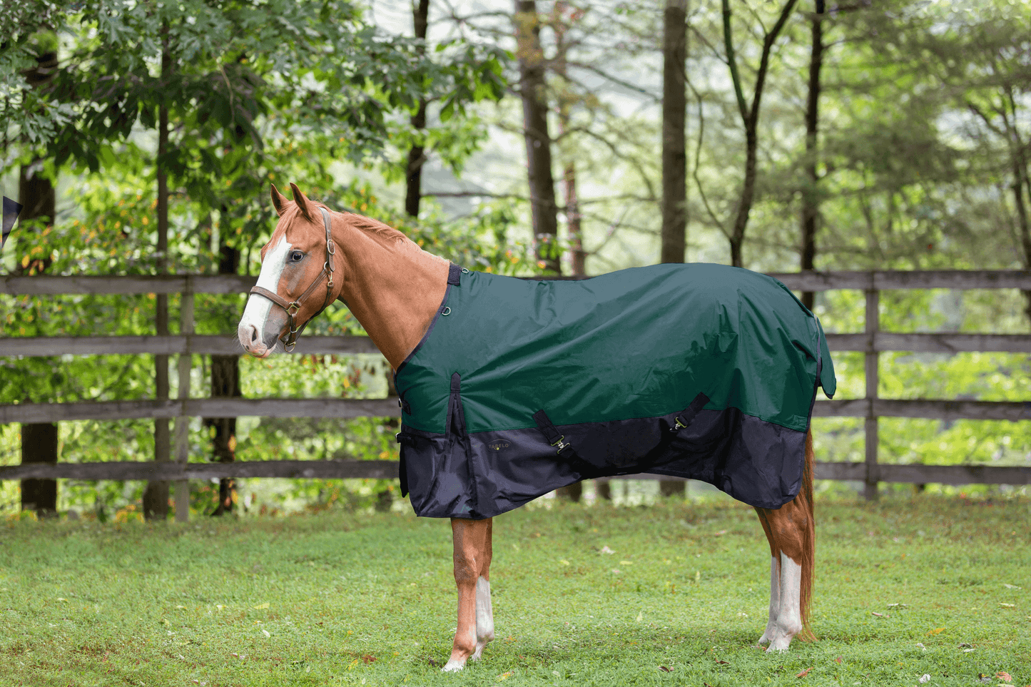 Tabelo Waterproof 600D Turnout Blanket with 250g Polyfill