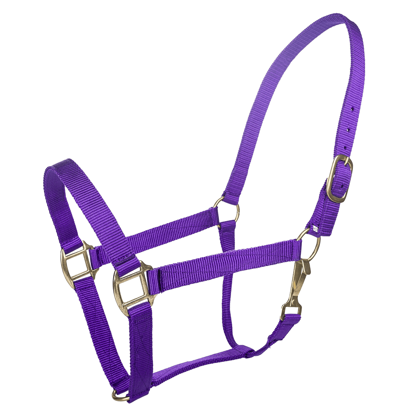 Tabelo Heavy-Duty Nylon Halter with Brass Fittings