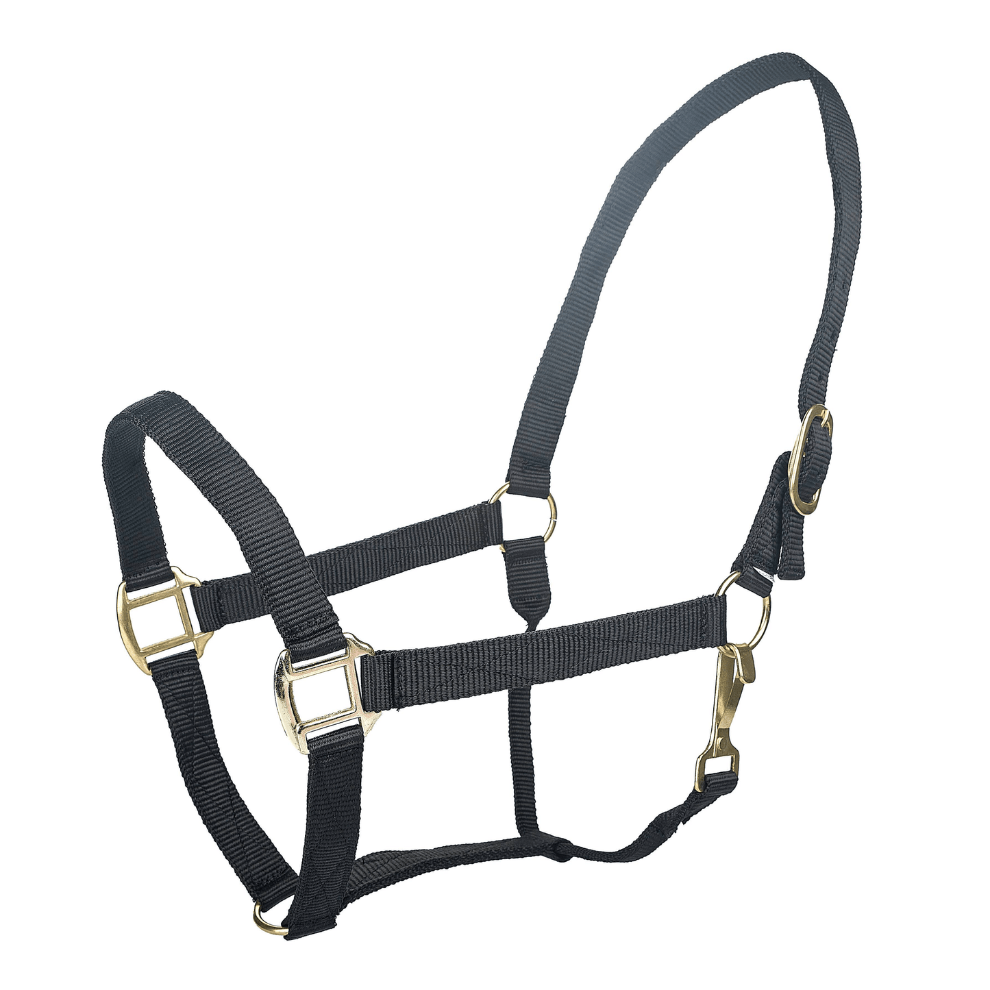 Tabelo Heavy-Duty Nylon Halter with Brass Fittings