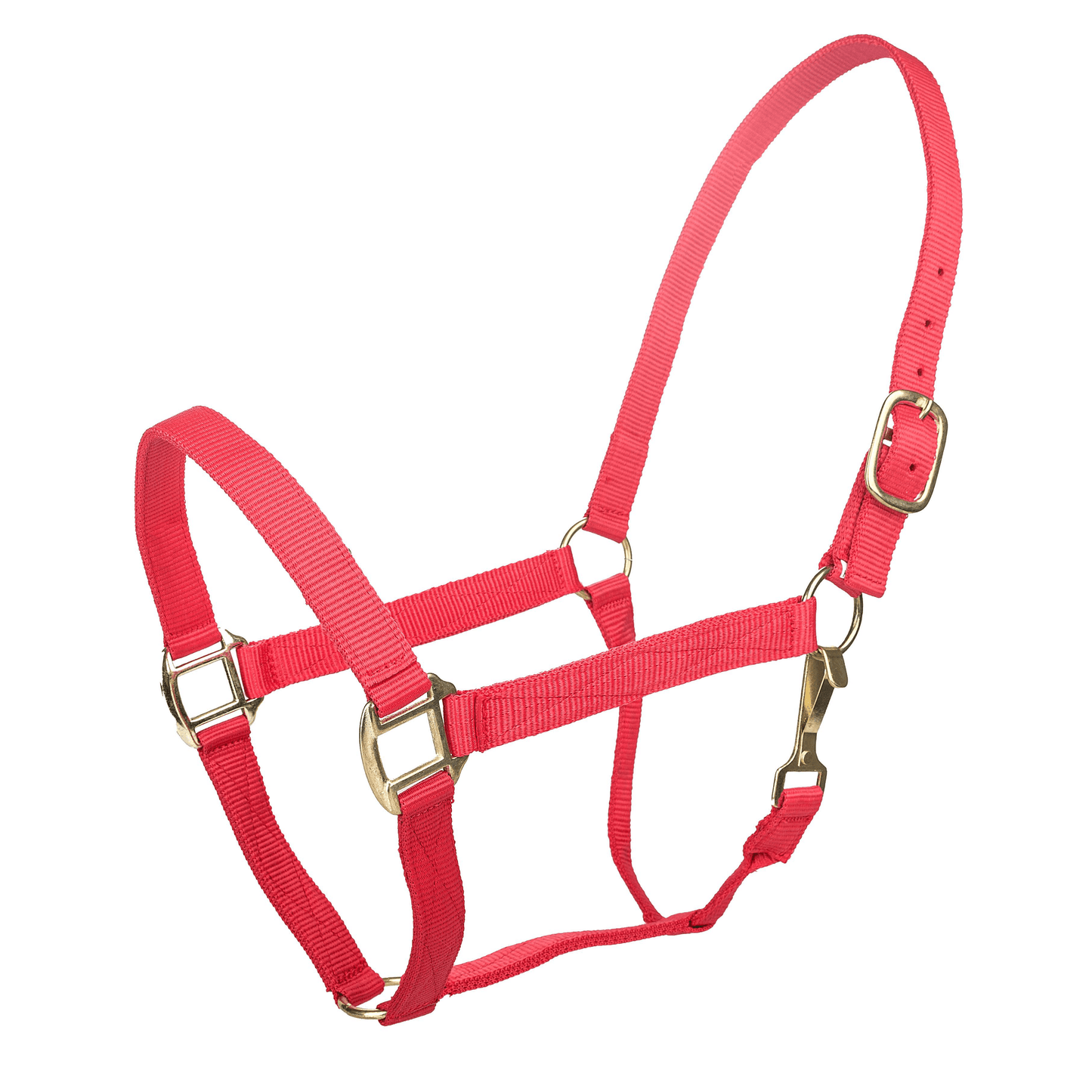 Tabelo Heavy-Duty Nylon Halter with Brass Fittings