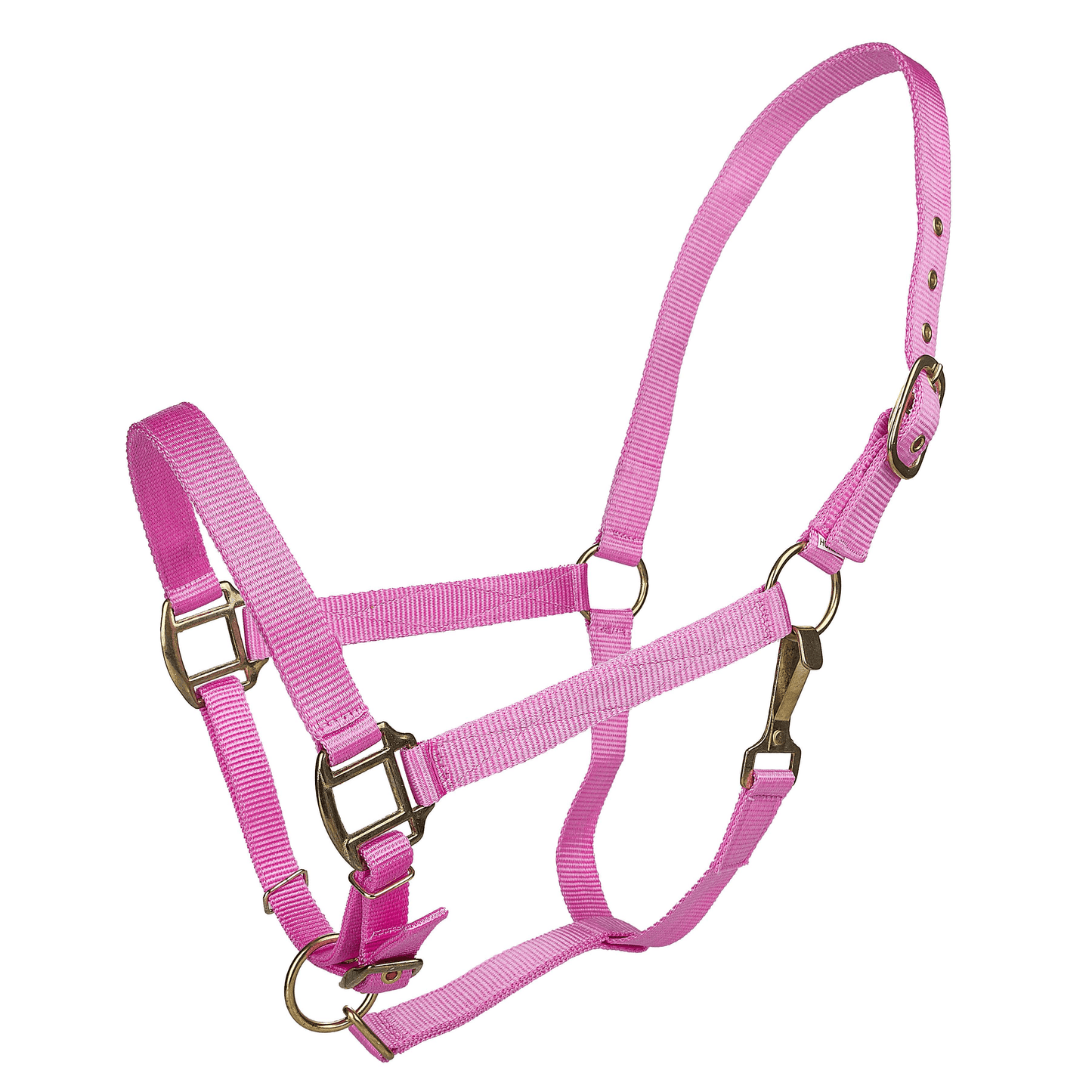 Tabelo Adjustable Nylon Halter with Brass Fittings