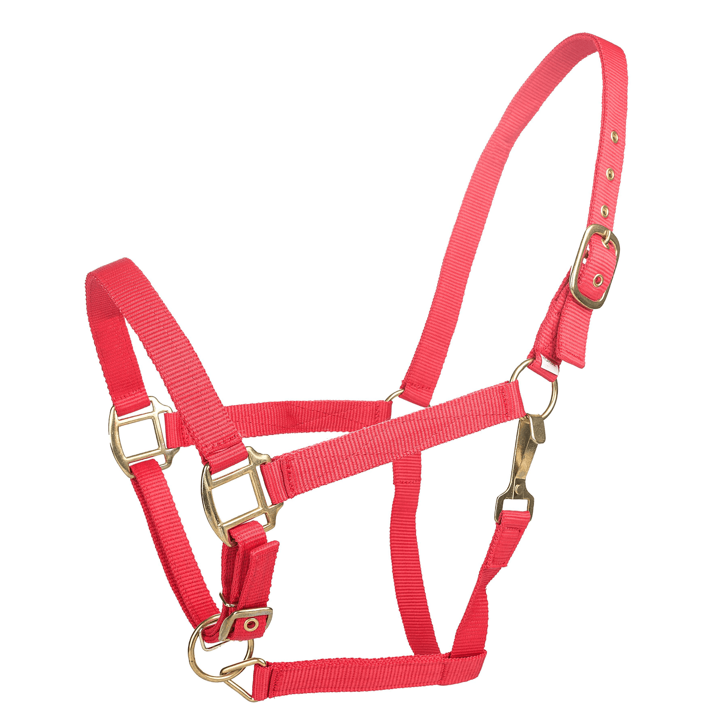 Tabelo Adjustable Nylon Halter with Brass Fittings