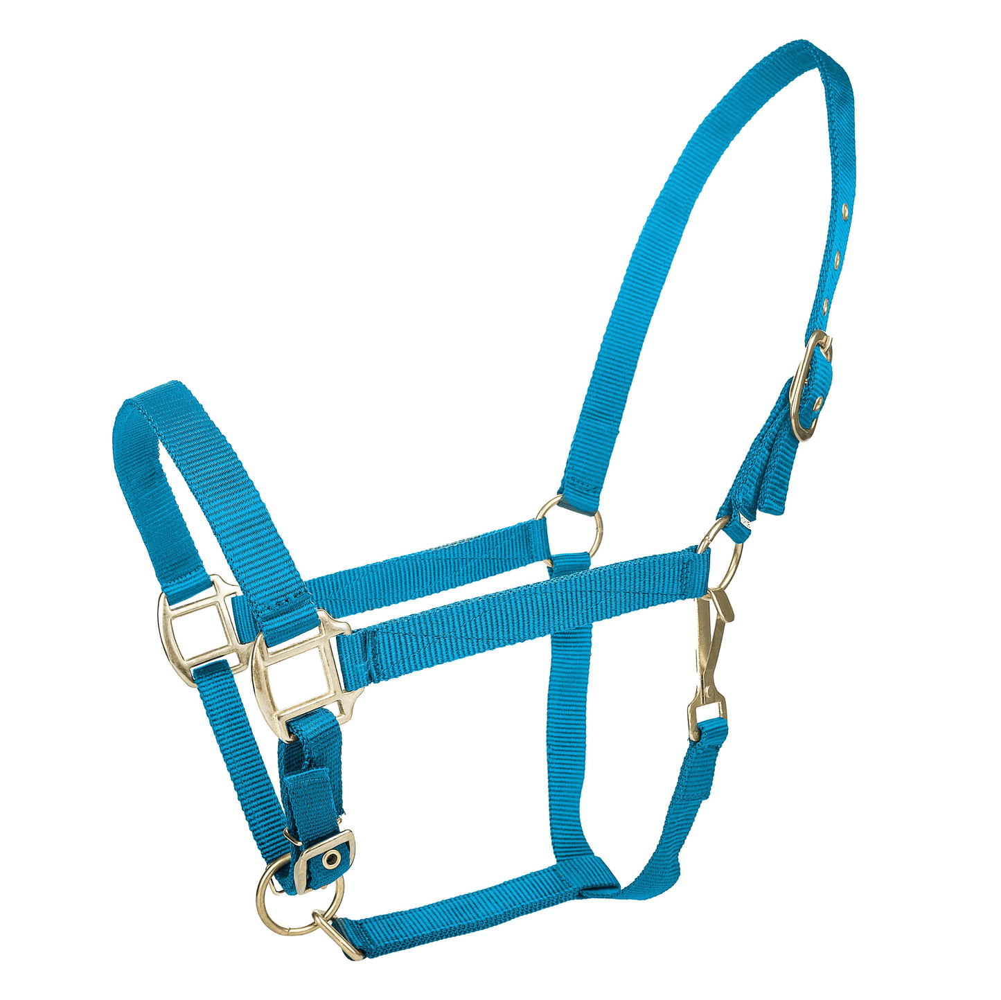 Tabelo Adjustable Nylon Halter with Brass Fittings