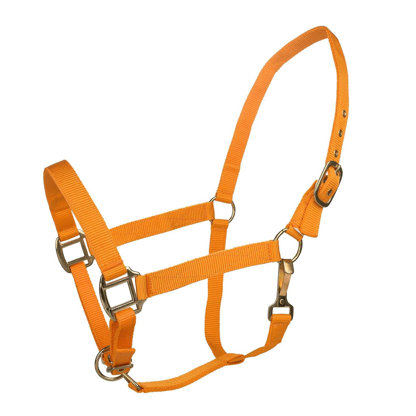 Tabelo Adjustable Nylon Halter with Brass Fittings