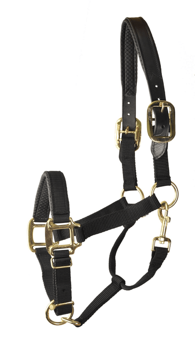 Gatsby Premium Nylon Halter with Leather Padding and Brass Hardware