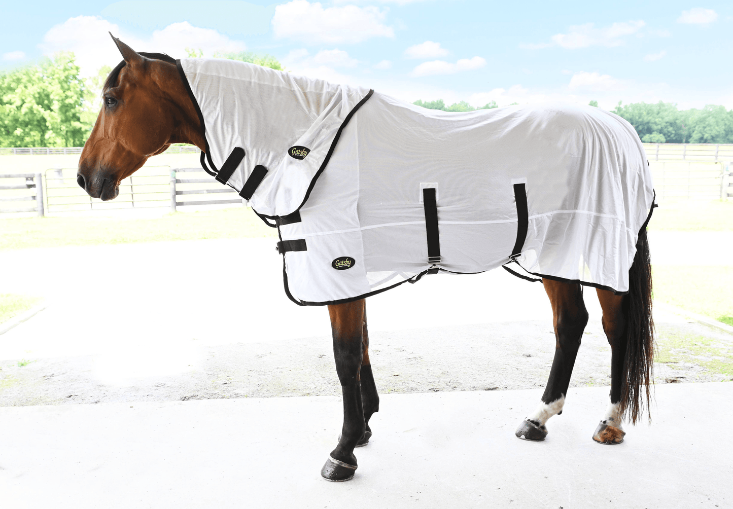 Gatsby Cool-Mesh Fly Neck Cover for Ultimate Comfort and Protection