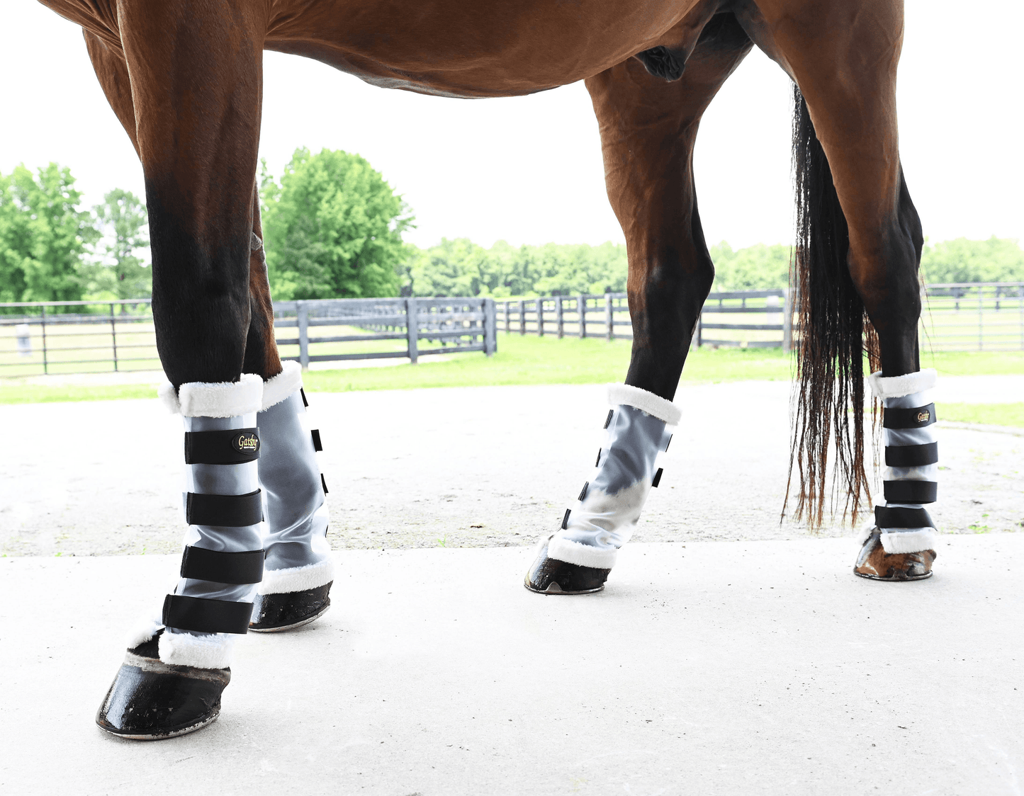 Gatsby Cool-Mesh Horse Leg Wraps with Fleece Lining - Set of 4