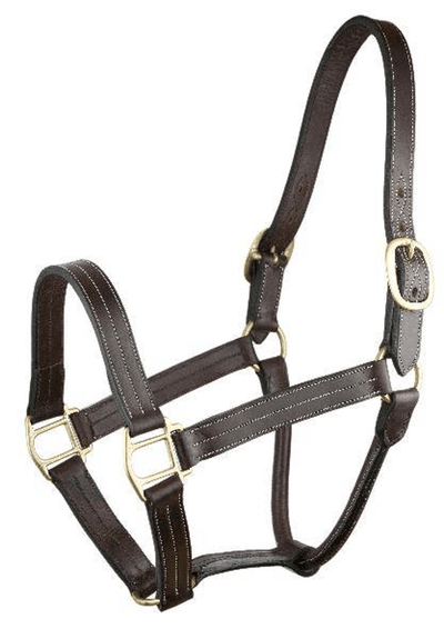 Gatsby Triple Stitched Leather Halter with O Snap Hardware