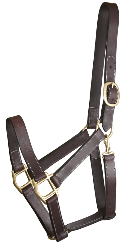 Gatsby Premium Leather Turnout Halter with Snap